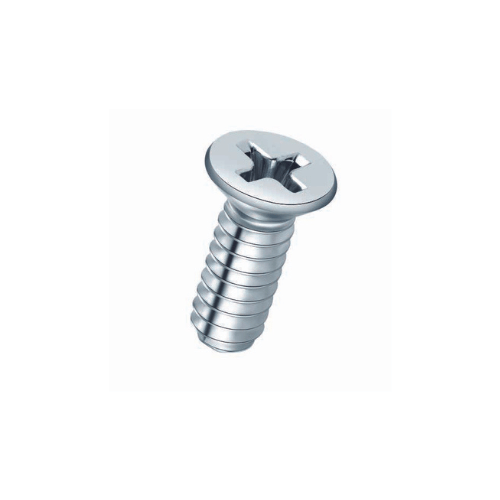 Flat Head Screw